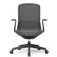 OHE-101Negro